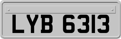 LYB6313