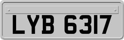 LYB6317