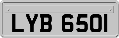 LYB6501