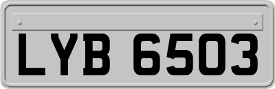 LYB6503