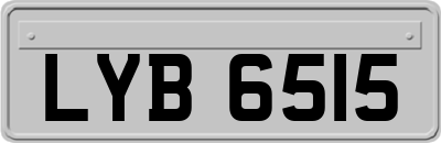 LYB6515