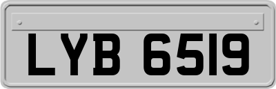 LYB6519