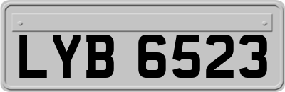 LYB6523