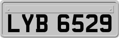 LYB6529