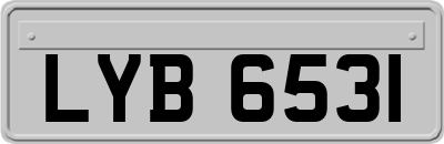 LYB6531