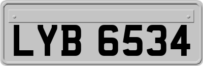 LYB6534