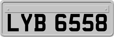 LYB6558