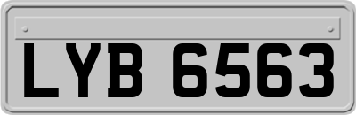 LYB6563
