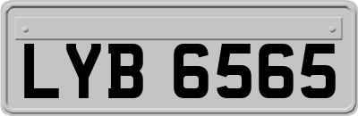 LYB6565
