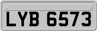 LYB6573