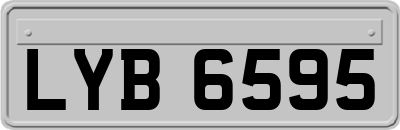 LYB6595