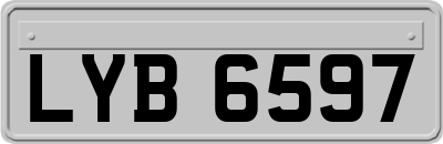 LYB6597