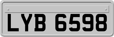 LYB6598