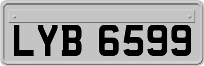 LYB6599