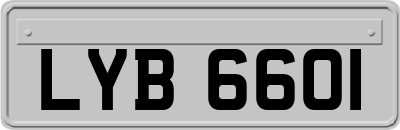 LYB6601