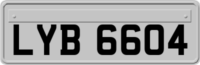 LYB6604