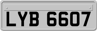 LYB6607