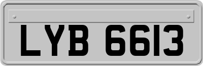 LYB6613