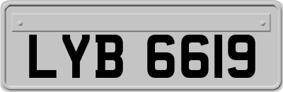 LYB6619