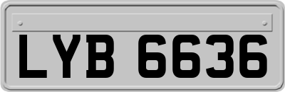 LYB6636