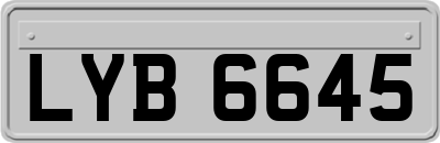 LYB6645