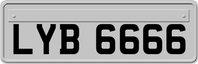 LYB6666