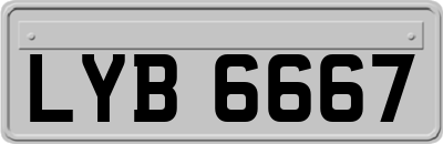 LYB6667