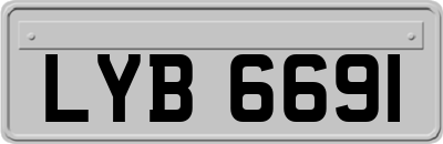 LYB6691