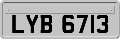 LYB6713