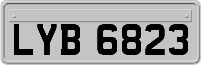 LYB6823