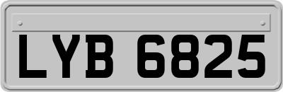 LYB6825