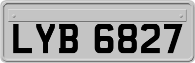 LYB6827