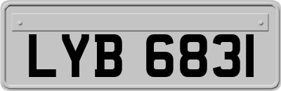 LYB6831