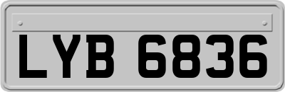 LYB6836