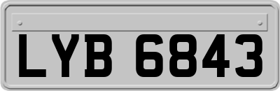 LYB6843