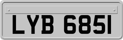 LYB6851