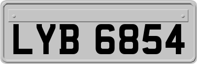 LYB6854