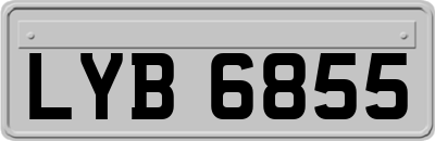 LYB6855