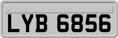 LYB6856