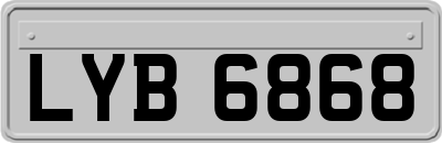 LYB6868