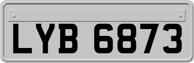 LYB6873