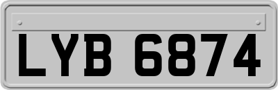 LYB6874