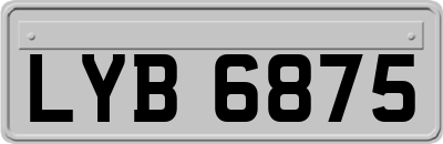 LYB6875
