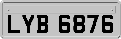 LYB6876