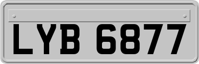 LYB6877
