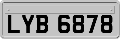 LYB6878