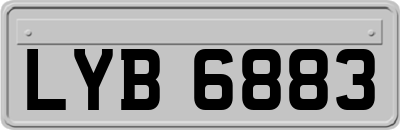 LYB6883