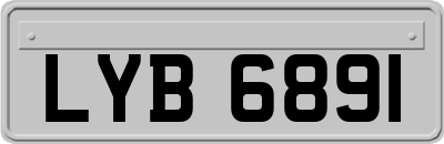 LYB6891