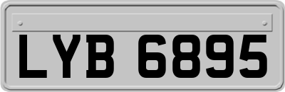 LYB6895