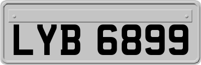 LYB6899